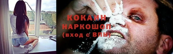 ПСИЛОЦИБИНОВЫЕ ГРИБЫ Вяземский