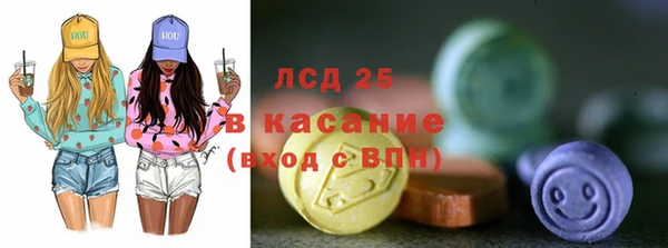 ПСИЛОЦИБИНОВЫЕ ГРИБЫ Вяземский