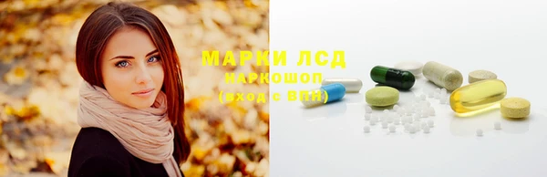 ПСИЛОЦИБИНОВЫЕ ГРИБЫ Вязьма