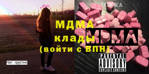 ПСИЛОЦИБИНОВЫЕ ГРИБЫ Вяземский