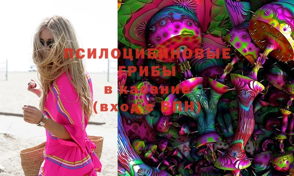 тгк Вязники