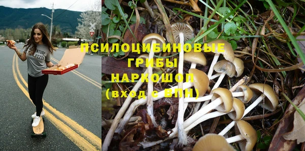 тгк Вязники