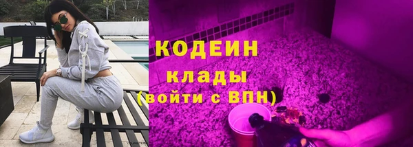 ПСИЛОЦИБИНОВЫЕ ГРИБЫ Вяземский
